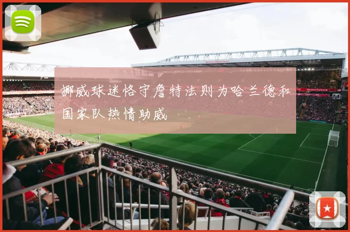 挪威球迷恪守詹特法则为哈兰德和国家队热情助威