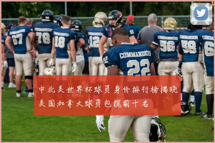 中北美世界杯球员身价排行榜揭晓美国加拿大球员包揽前十名
